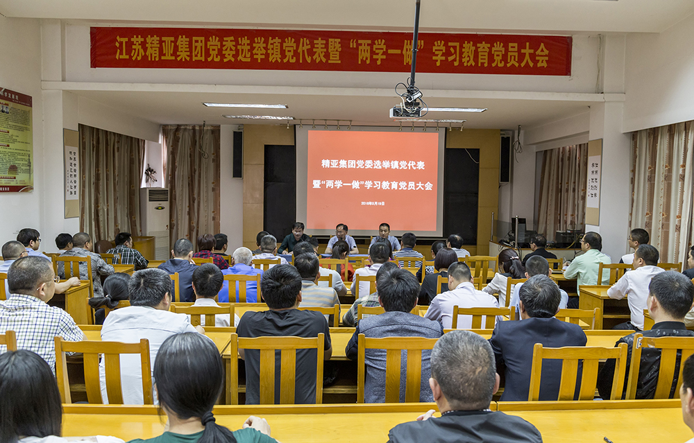 江苏精亚集团党委选举镇党代会代表大会