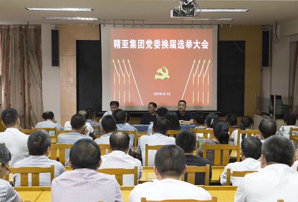 中共江苏精亚集团有限公司委员会换届选举大会