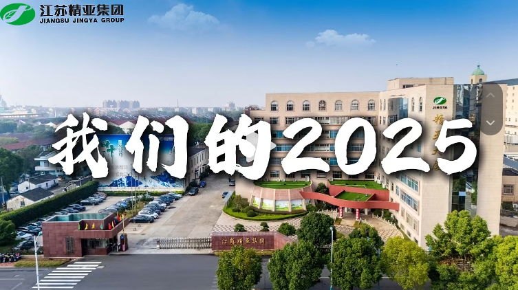 精亚集团2025回顾总结，展望2026 - 视频